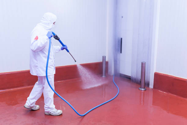 Professional Pressure Washing in Lewes, DE